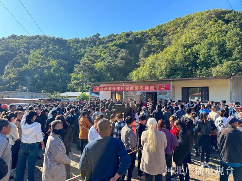 项目申报代理